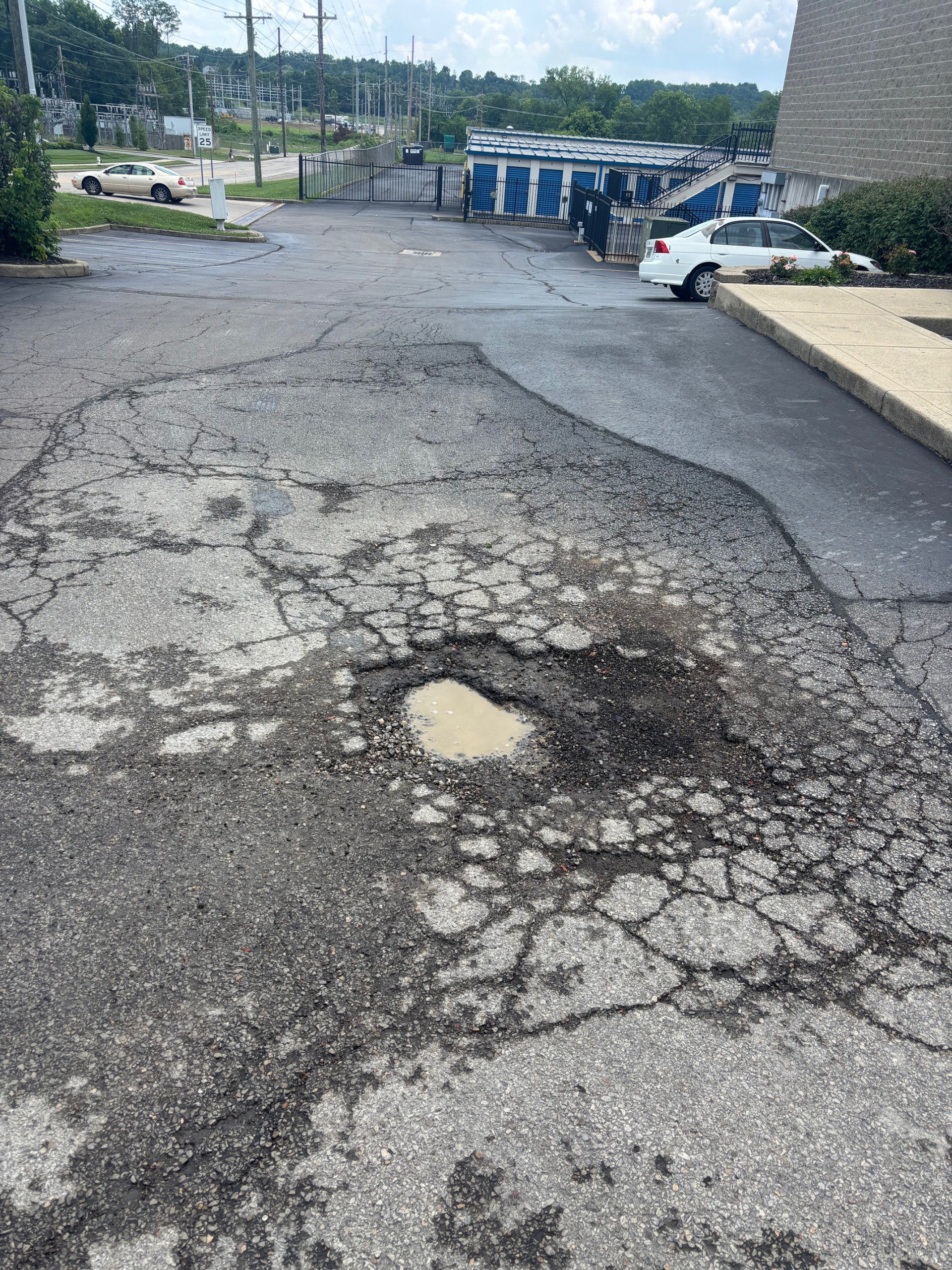 Cracked asphalt driveway showing freeze-thaw damage